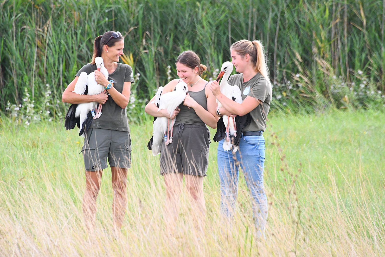 Gyógyult gólyákat engedett szabadon a Sóstó Vadvédelmi Központ